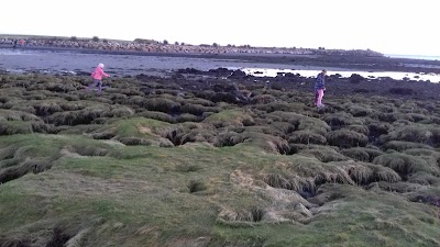 Photos of Ballyloughane Beach