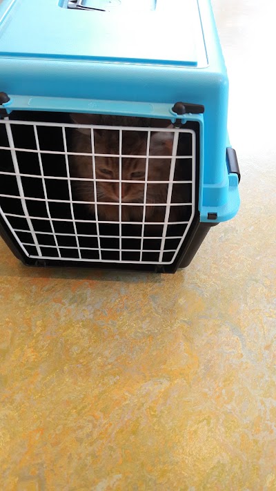 Photos of Veterinary Referral Center the Pieters