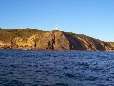 Photos of Apollo Bay Fishing & Adventure Tours