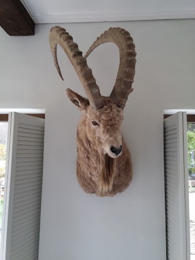 Photos of Hunting Lodge - Trofee - Jahimaja