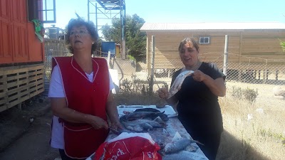 Photos of Ballenarte Pizzas