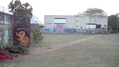 Photos of Jacarand&aacute; de Barrio Roosevelt Park