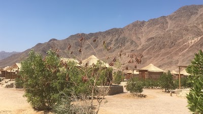 Photos of Ananda Camp