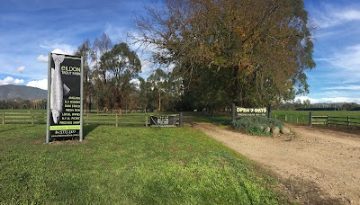 Photos of Eildon Trout Farm