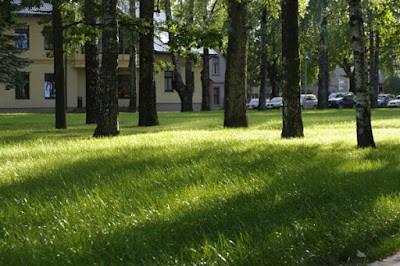 Photos of Gartens SIA