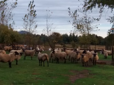 Photos of B&B Shambala HN