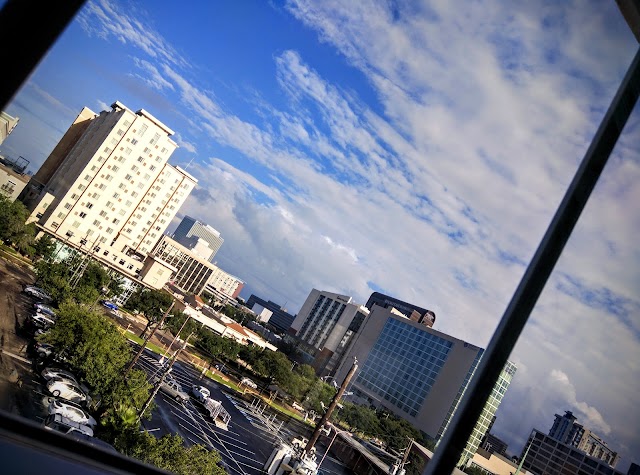 Hotel Indigo Houston at the Galleria