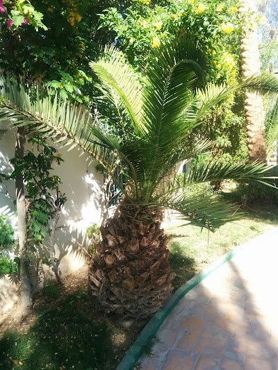 Photos of Falcon Hills