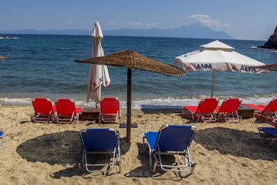 Photos of goa beach bar