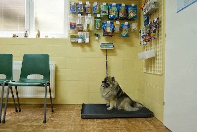 Photos of MVDr. Renata Popel&aacute;řov&aacute;, veterin&aacute;rn&iacute; ambulance Žamberk