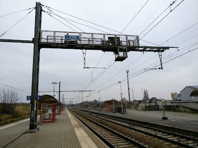 Photos of Liers