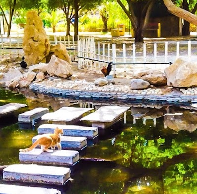 Photos of Public Park Block 5