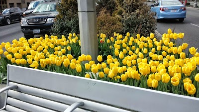 Photos of LIU- Brooklyn