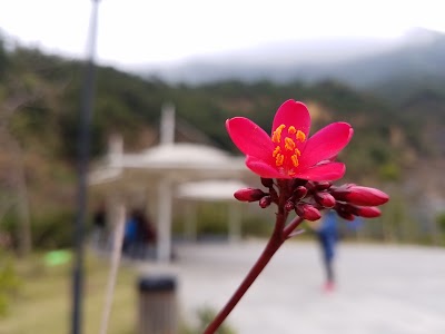 Photos of Xiantong Sports Park
