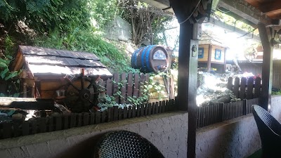 Photos of Plava laguna