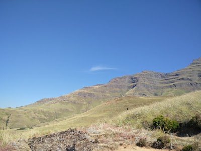 park
