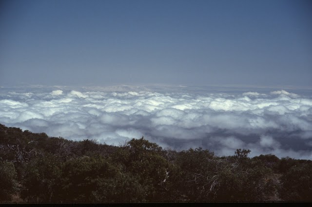 Viewpoint Mauna Kea