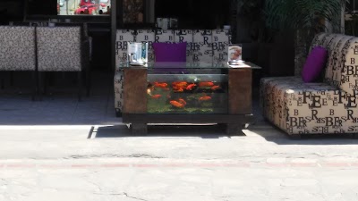 Photos of Lapiazza Cafe