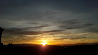 Photos of Ringvold Orchard