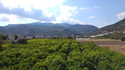 Photos of Kalloni Royal Resort