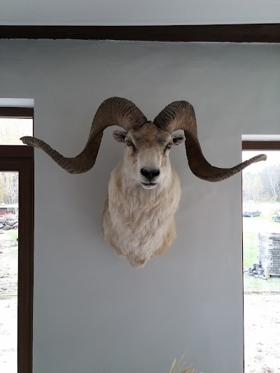 Photos of Hunting Lodge - Trofee - Jahimaja