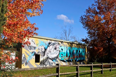 Photos of Buxton Trout & Salmon Farm
