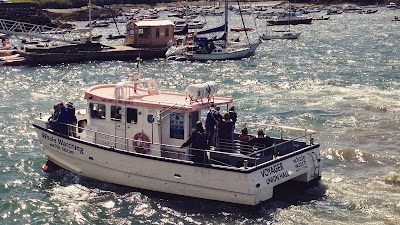 Photos of Whale Watch West Cork