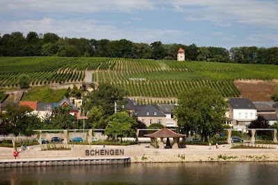 Photos of Gloden Lucien Cellars