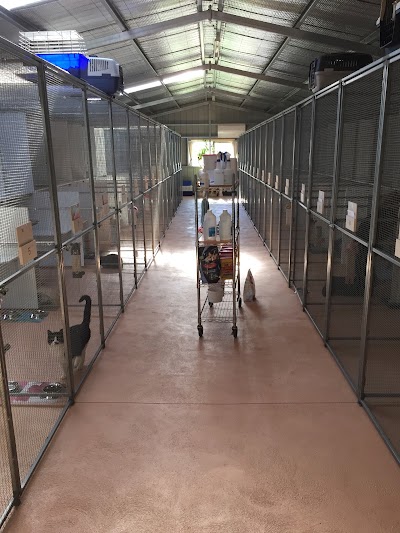 Photos of Hillview Farm 5 Star Boarding Cattery