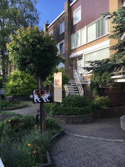 Photos of D.A.P. Kindermans