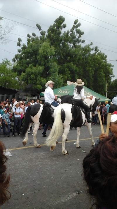 Photos of Agromesa