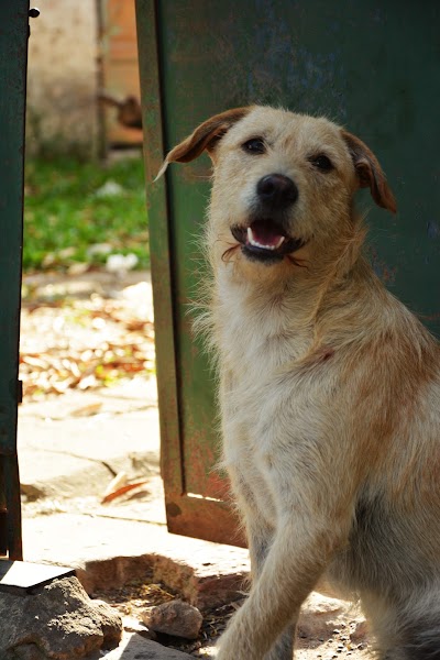 Photos of Veterinary Clinic Dr Paez Barrios