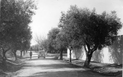 Photos of Commune De Yellel l&rsquo;Hillil