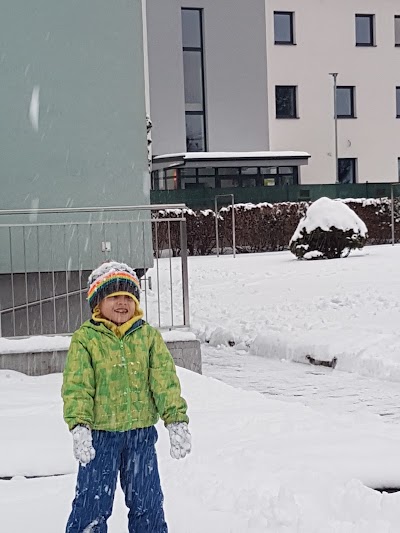 Photos of Stadl-Paura