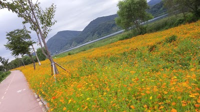 Photos of 운길산꽃농원