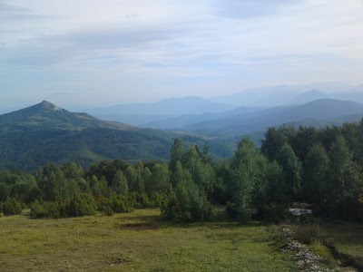 Photos of Nedim Pilav Jogi