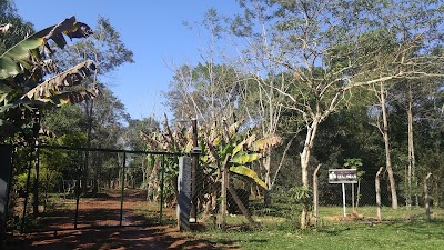 Photos of Alojamiento Los Lindos