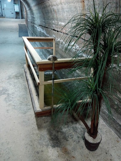Photos of Respublikanskaya Bol'nitsa Speleolecheniya