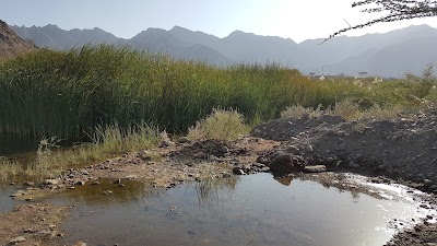 Photos of Hatta MTB Trail Parking