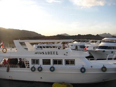 Photos of Nemo - Dive Centre - Red Sea Diving