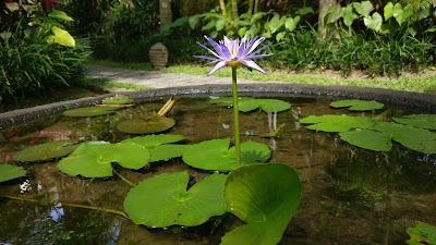 Photos of Puri Sunia Resort