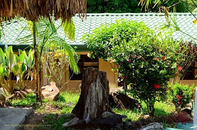 Photos of Big Bamboo Uvita