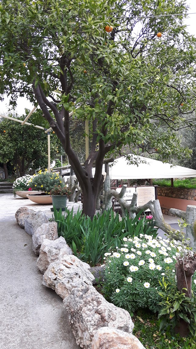 Grotte di Borgio Verezzi