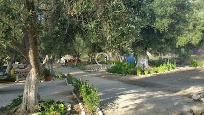 campground