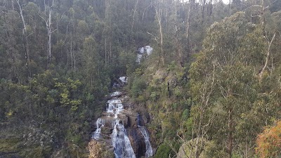 Photos of Kinglake National Park
