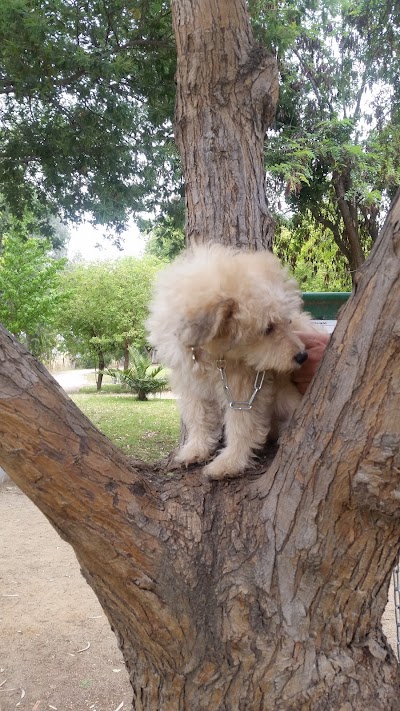 Photos of municipal Park