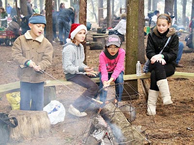 Photos of Sloan's Christmas Tree Village and U-Cut