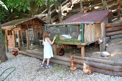Photos of Aktiv Camp Purgstall - Camping & Ferien Park