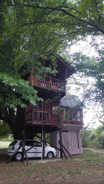Photos of Sycamore Avenue Treehouses