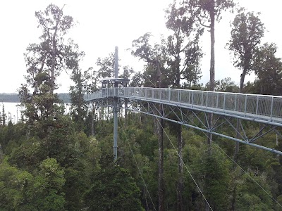 Photos of West Coast Treetop Walk & Cafe